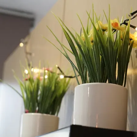 Апартаменты La Du Moulin 2 E Proche De Pairi Daiza Et Google