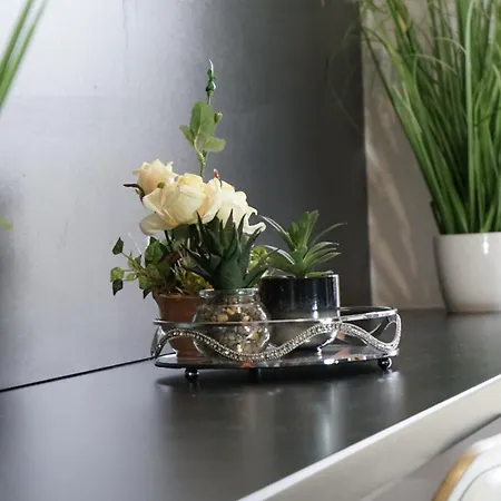 La Du Moulin 2 E Proche De Pairi Daiza Et Google Apartment Boussu-lez-Mons