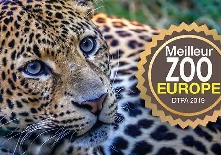 La Du Moulin 2 E Proche De Pairi Daiza Et Google