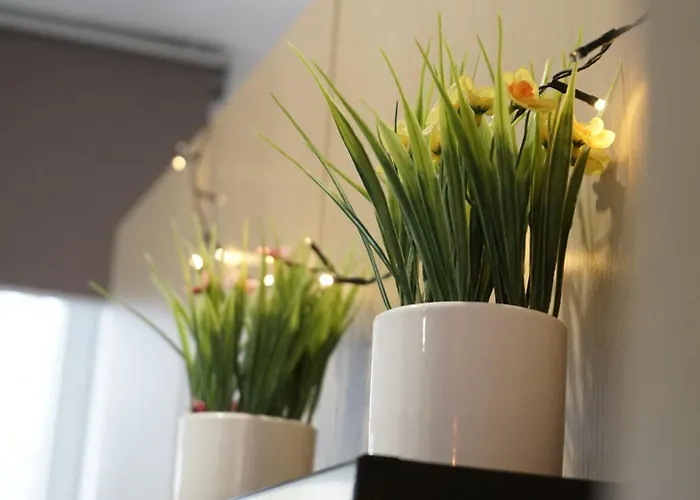 Apartamento La Du Moulin 2 E Proche De Pairi Daiza Et Google